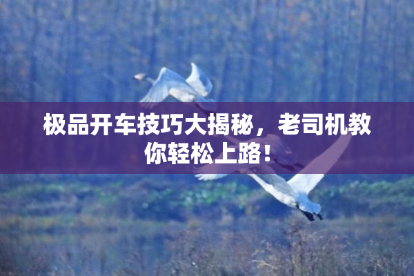 极品开车技巧大揭秘，老司机教你轻松上路！