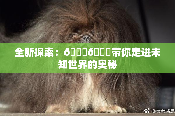 全新探索：🍆🍑带你走进未知世界的奥秘