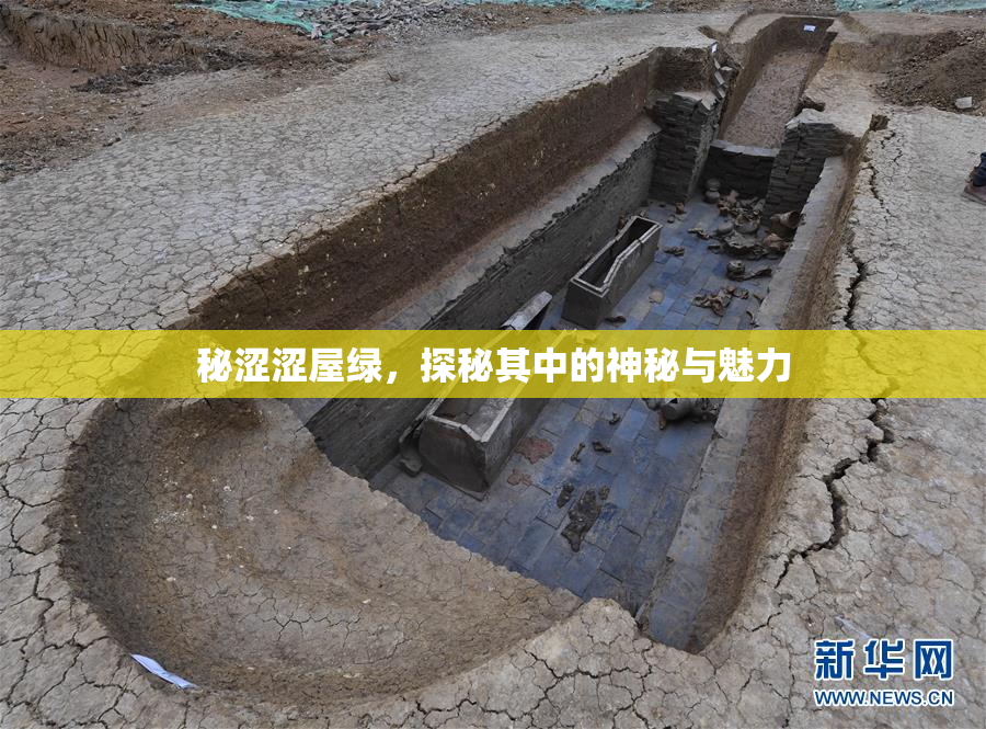 秘涩涩屋绿，探秘其中的神秘与魅力