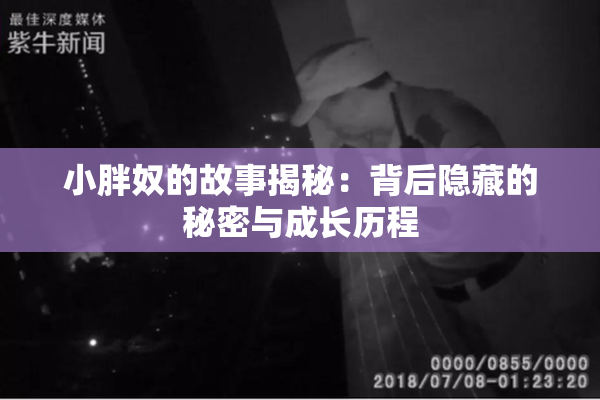 小胖奴的故事揭秘：背后隐藏的秘密与成长历程