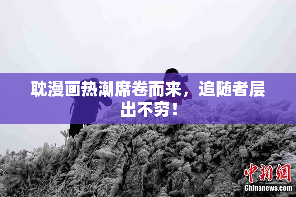 耽漫画热潮席卷而来，追随者层出不穷！