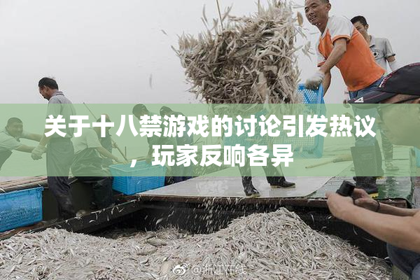 关于十八禁游戏的讨论引发热议，玩家反响各异