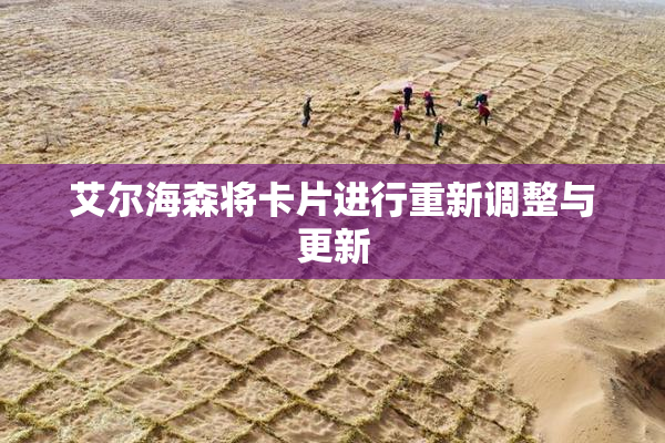 艾尔海森将卡片进行重新调整与更新