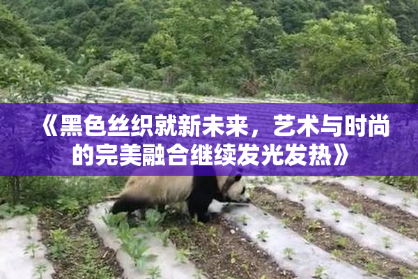 《黑色丝织就新未来，艺术与时尚的完美融合继续发光发热》