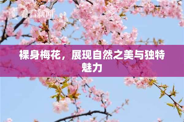 裸身梅花，展现自然之美与独特魅力