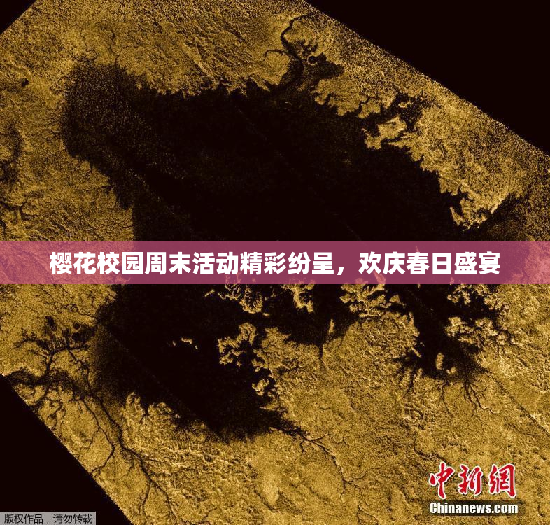 樱花校园周末活动精彩纷呈，欢庆春日盛宴
