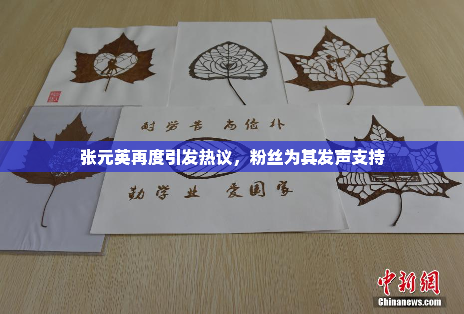 张元英再度引发热议，粉丝为其发声支持