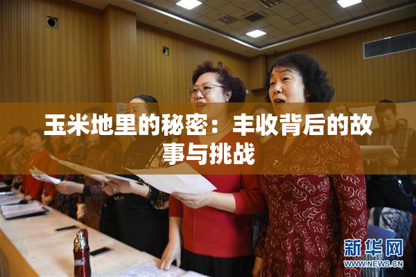 玉米地里的秘密：丰收背后的故事与挑战
