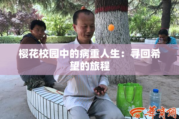 樱花校园中的病重人生：寻回希望的旅程