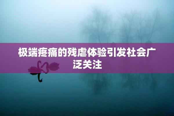 极端疼痛的残虐体验引发社会广泛关注