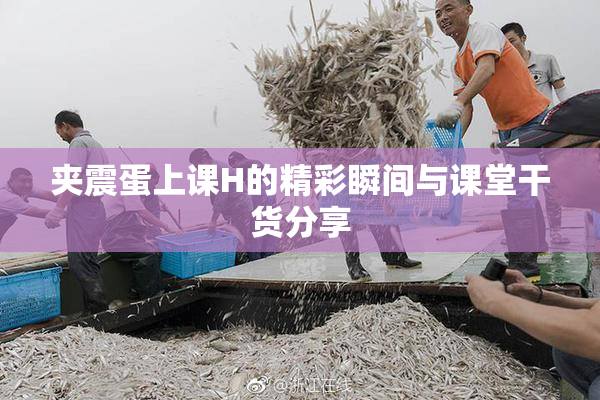 夹震蛋上课H的精彩瞬间与课堂干货分享