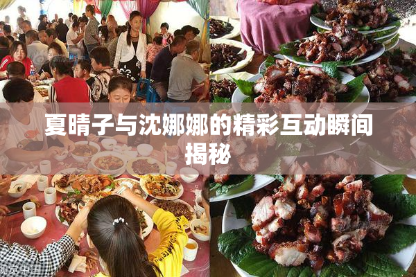 夏晴子与沈娜娜的精彩互动瞬间揭秘