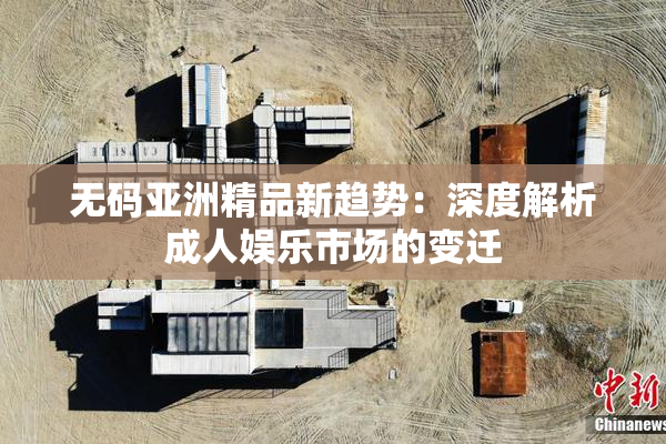 无码亚洲精品新趋势：深度解析成人娱乐市场的变迁