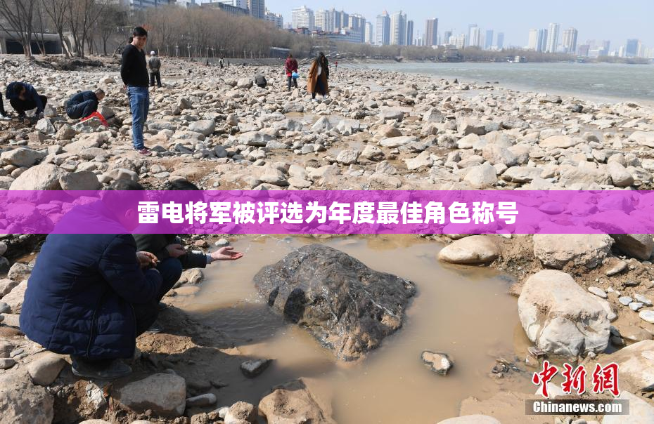 雷电将军被评选为年度最佳角色称号