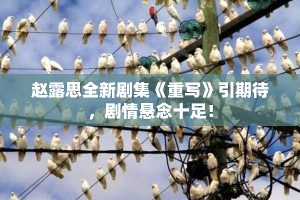 赵露思全新剧集《重写》引期待，剧情悬念十足！