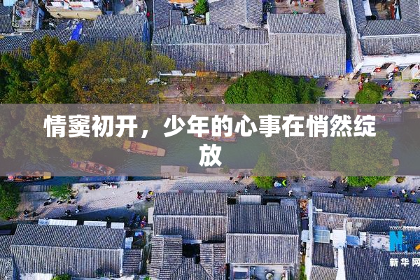 情窦初开，少年的心事在悄然绽放