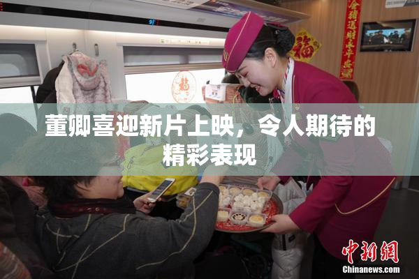 董卿喜迎新片上映，令人期待的精彩表现