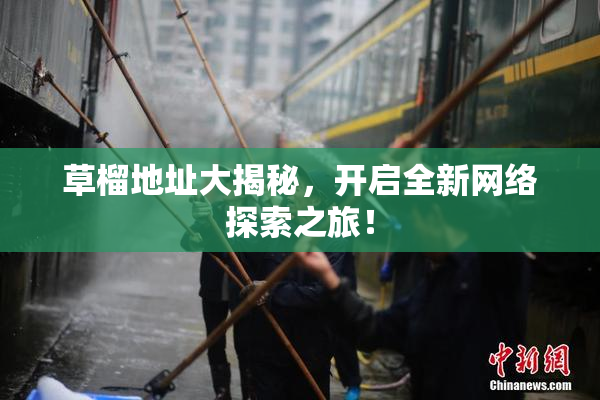 草榴地址大揭秘，开启全新网络探索之旅！
