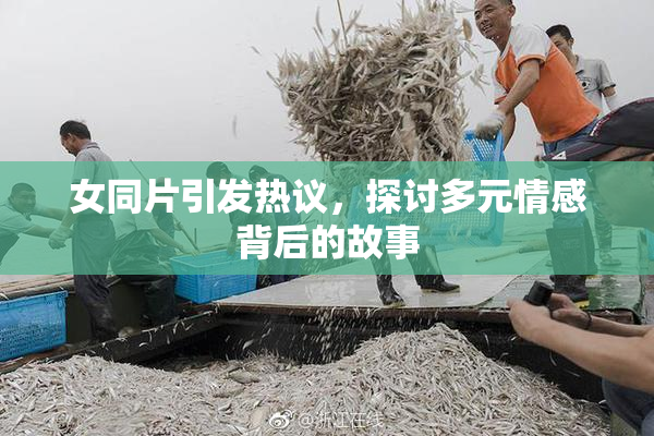 女同片引发热议，探讨多元情感背后的故事