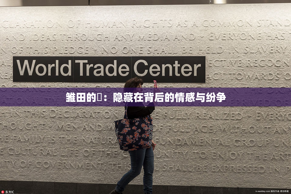 雏田的婬：隐藏在背后的情感与纷争