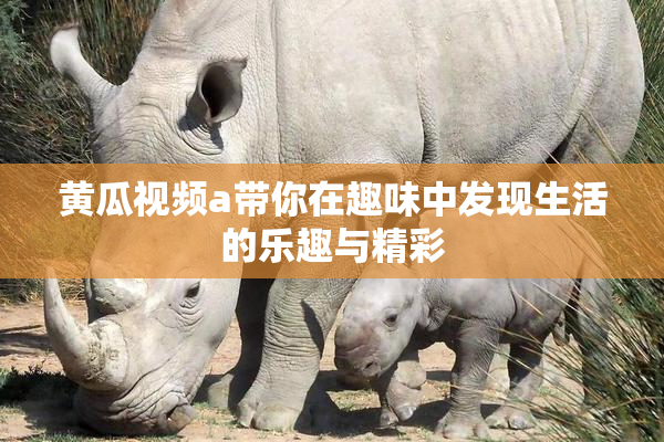 黄瓜视频a带你在趣味中发现生活的乐趣与精彩