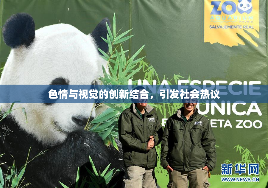 色情与视觉的创新结合，引发社会热议