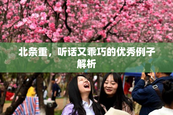 北条重，听话又乖巧的优秀例子解析