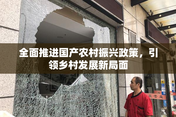 全面推进国产农村振兴政策，引领乡村发展新局面