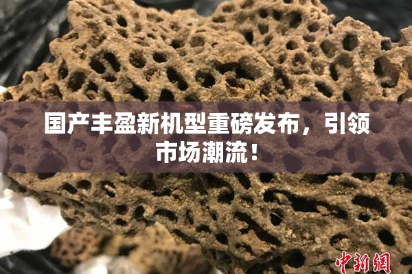 国产丰盈新机型重磅发布，引领市场潮流！