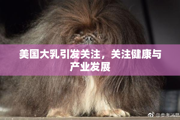 美国大乳引发关注，关注健康与产业发展