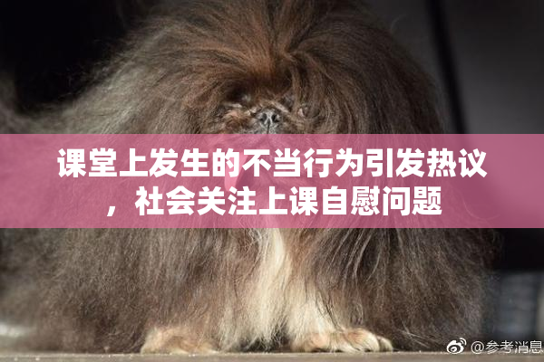课堂上发生的不当行为引发热议，社会关注上课自慰问题