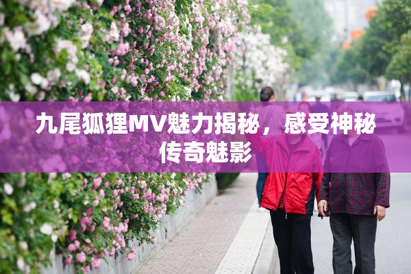 九尾狐狸MV魅力揭秘，感受神秘传奇魅影