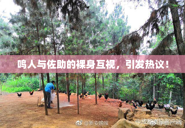 鸣人与佐助的裸身互视，引发热议！
