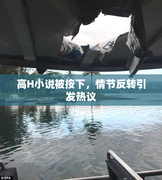 高H小说被按下，情节反转引发热议
