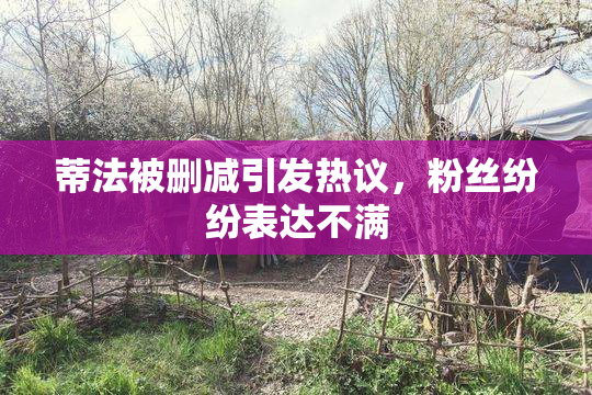 蒂法被删减引发热议，粉丝纷纷表达不满