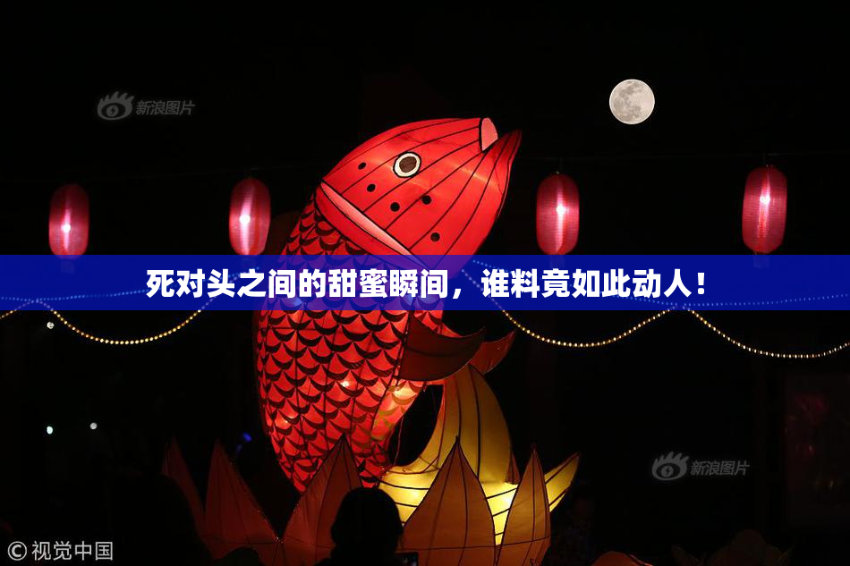 死对头之间的甜蜜瞬间，谁料竟如此动人！