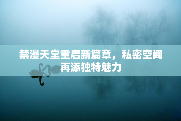 禁漫天堂重启新篇章，私密空间再添独特魅力