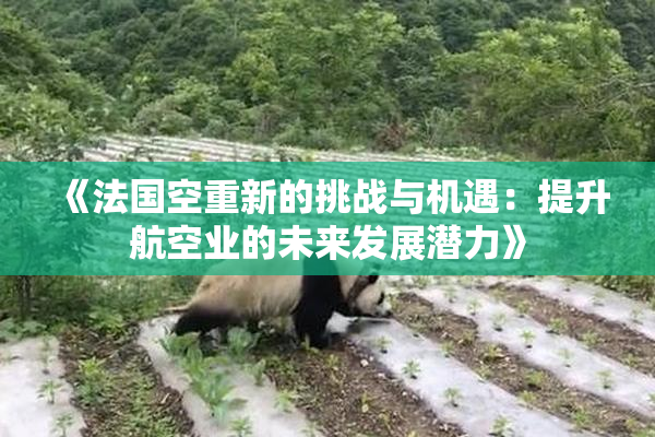 《法国空重新的挑战与机遇：提升航空业的未来发展潜力》