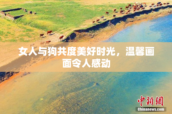 女人与狗共度美好时光，温馨画面令人感动