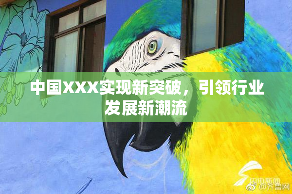 中国XXX实现新突破，引领行业发展新潮流