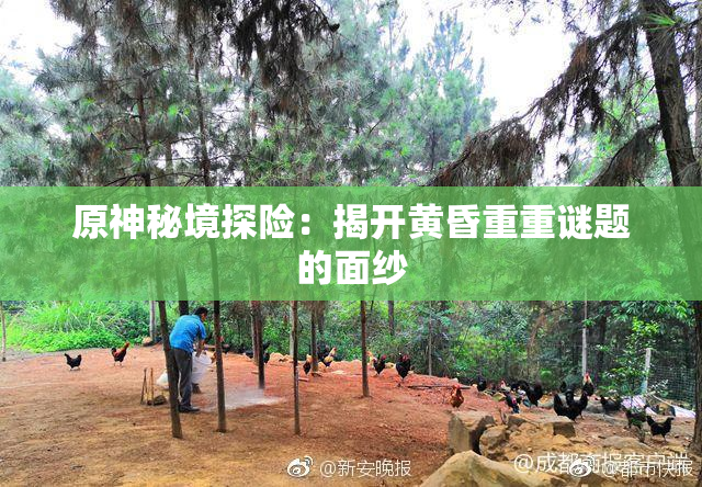 原神秘境探险：揭开黄昏重重谜题的面纱