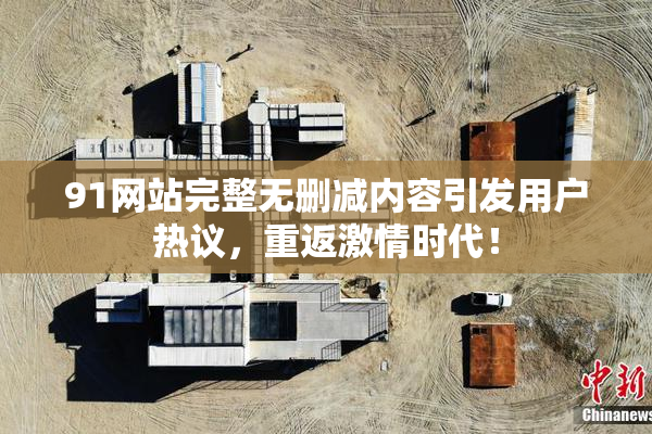 91网站完整无删减内容引发用户热议，重返激情时代！