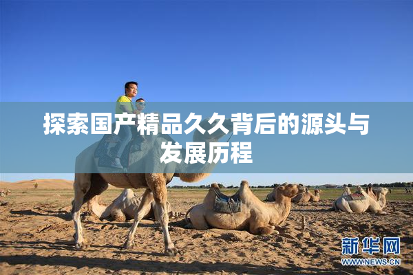 探索国产精品久久背后的源头与发展历程