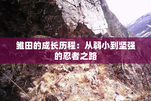 雏田的成长历程：从弱小到坚强的忍者之路
