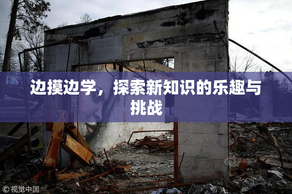 边摸边学，探索新知识的乐趣与挑战