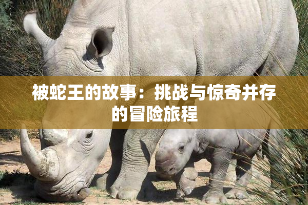 被蛇王的故事：挑战与惊奇并存的冒险旅程