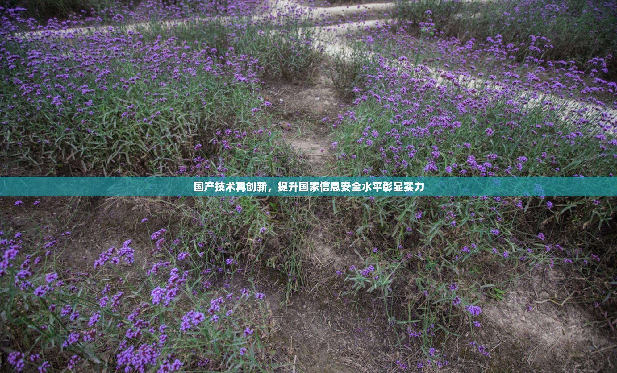 国产技术再创新，提升国家信息安全水平彰显实力