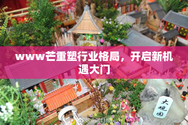 www芒重塑行业格局，开启新机遇大门
