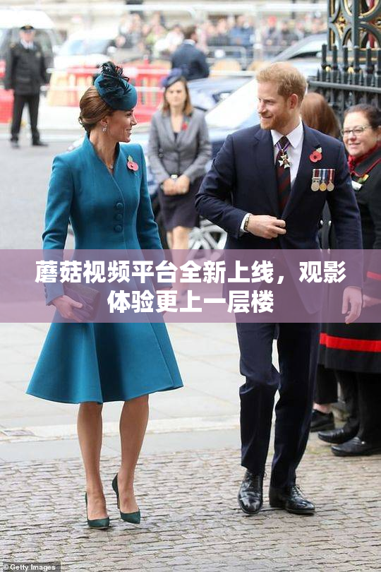 蘑菇视频平台全新上线，观影体验更上一层楼