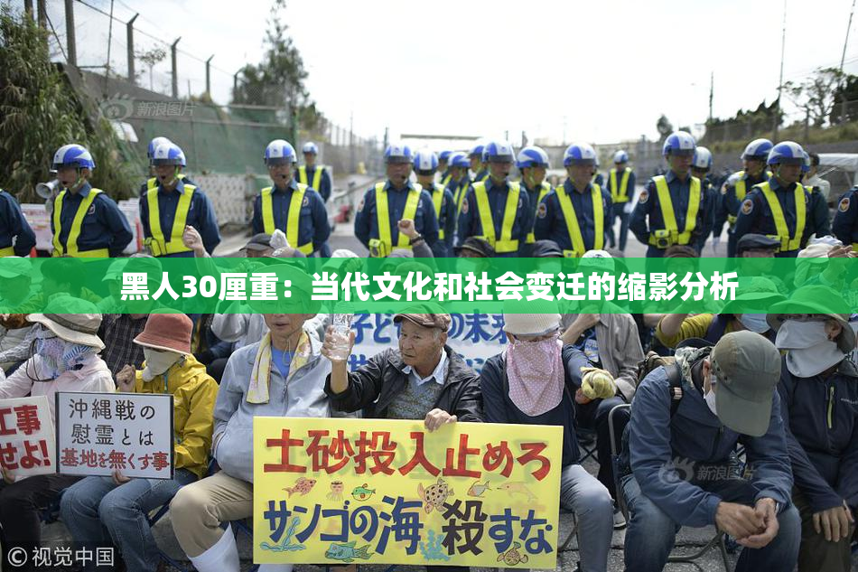 黑人30厘重：当代文化和社会变迁的缩影分析